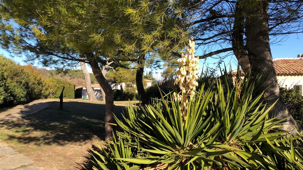 Aix, Terrain des Peintres, Dec 2017