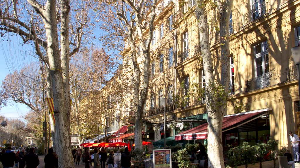 Cours Mirabeau in Winter, Aix en Provence