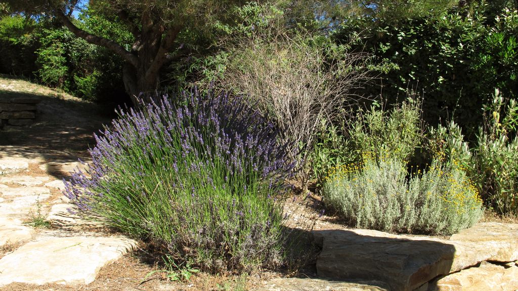 Point Césanne, Aix-en-Provence