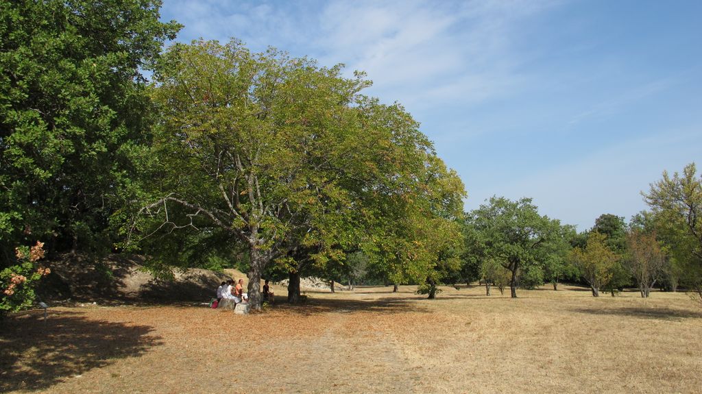 The Plateau of Entremont, just outside of Aix-en-Provence