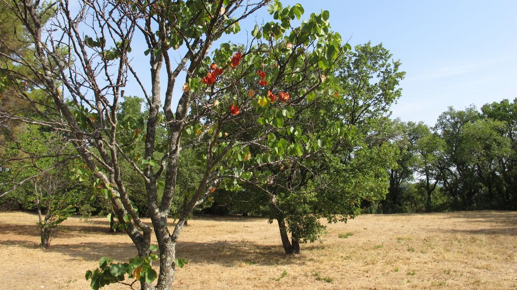 The Plateau of Entremont, just outside of Aix-en-Provence