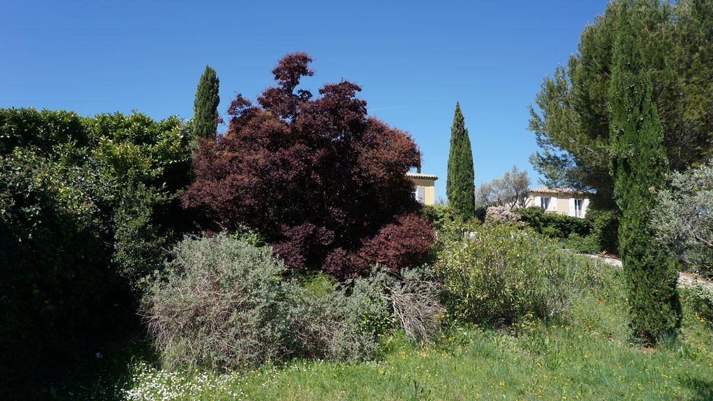 Spring colours in Aix-en-Provence