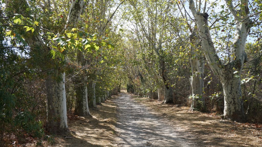 Old style country road around Aix-en-Provence