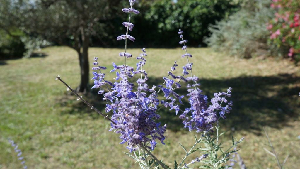 Colours of Provence after a Mistral… (i.e., a cold wind from the North that cleans the air in a spectacular manner)