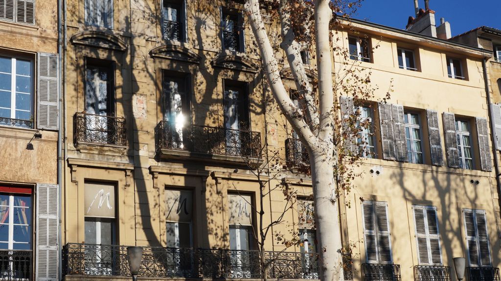 Shadows of the trees in winter on the facades on the Cours Mirabeau, Aix-en-Provence