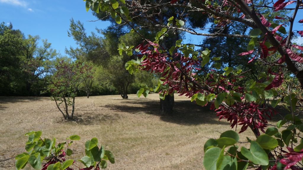 Entremont, Aix-en-Provence