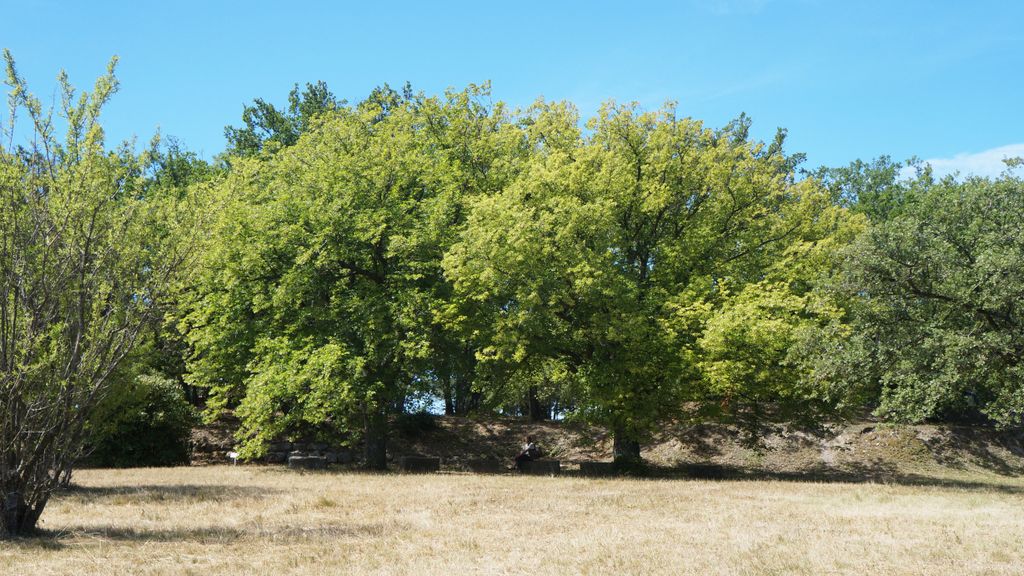 Entremont, Aix-en-Provence