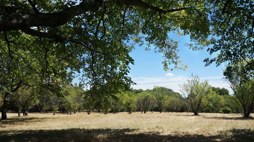 Entremont, Aix-en-Provence