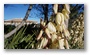 Winter light and nature, Aix-en-Provence