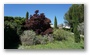 Spring colours in Aix-en-Provence