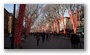 Cours Mirabeau in Aix-en-Provence in a strange setting: opening of the Marseille area as a European Cultural Capital also meant to cover the trees with these cloths...