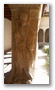 Cloister of the Cathedral, Aix-en-Provence