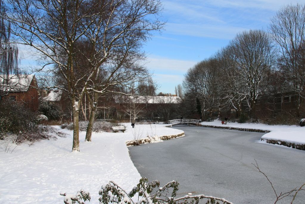 Rare event in Amstelveen: snow …