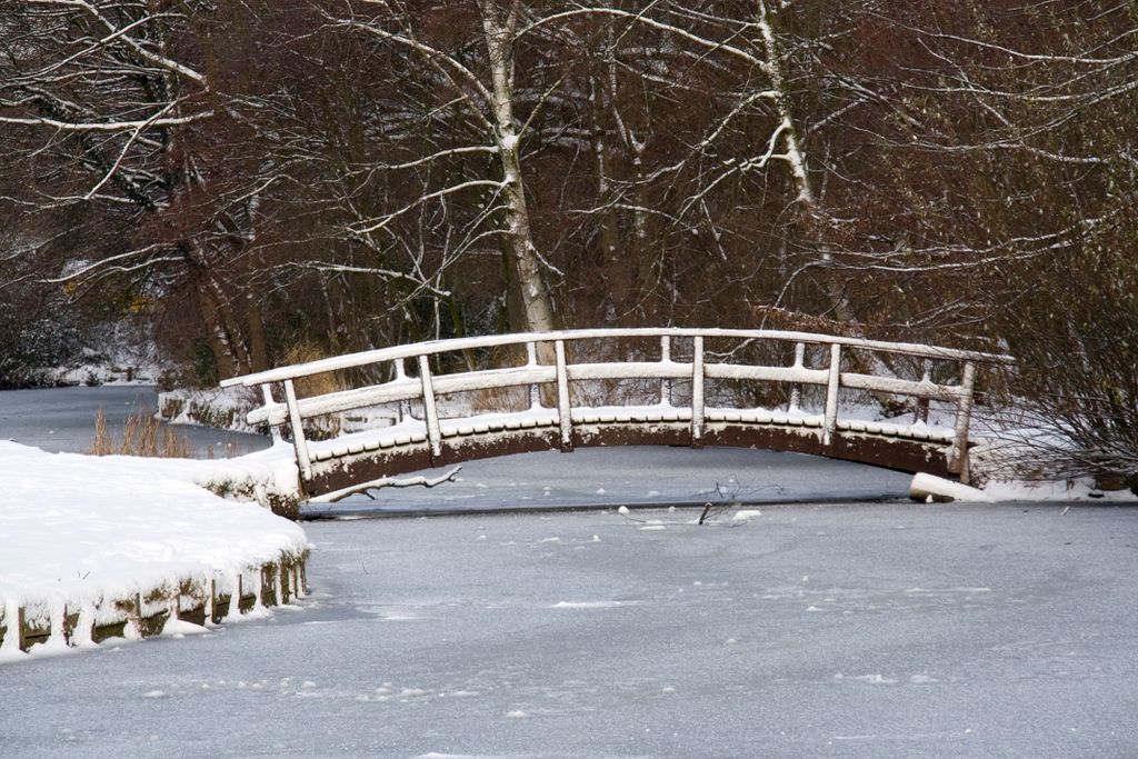 Rare event in Amstelveen: snow …