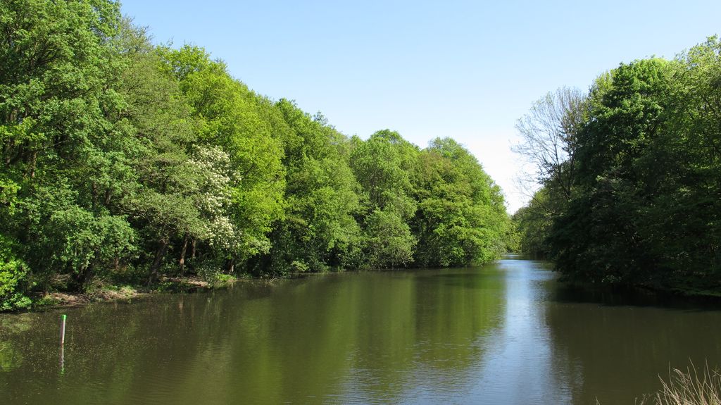 Amsterdamse Bos (the 