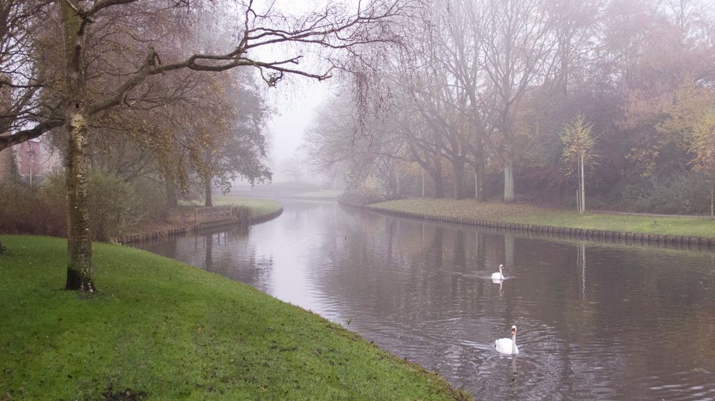 The Foggy Dutch Autumn…