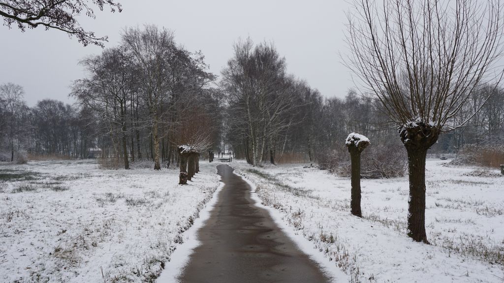 Eisenhove (a small park nearby Amstelveen), The Netherlands