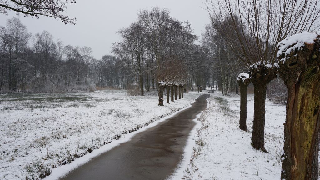 Eisenhove (a small park nearby Amstelveen), The Netherlands