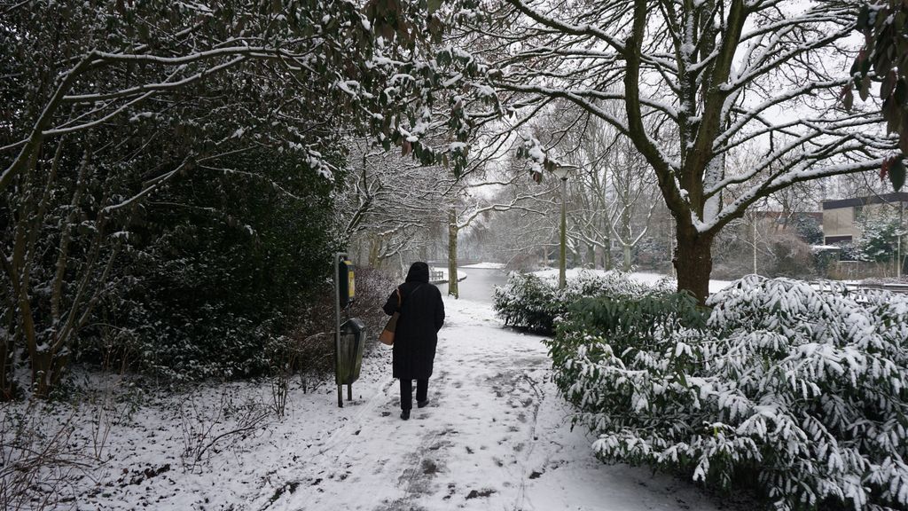 Amstelveen in winter