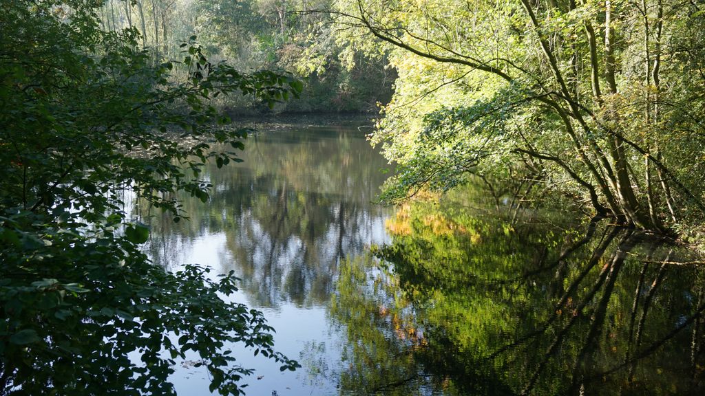 Amsterdamse Bos, a forest nearby Amstelveen