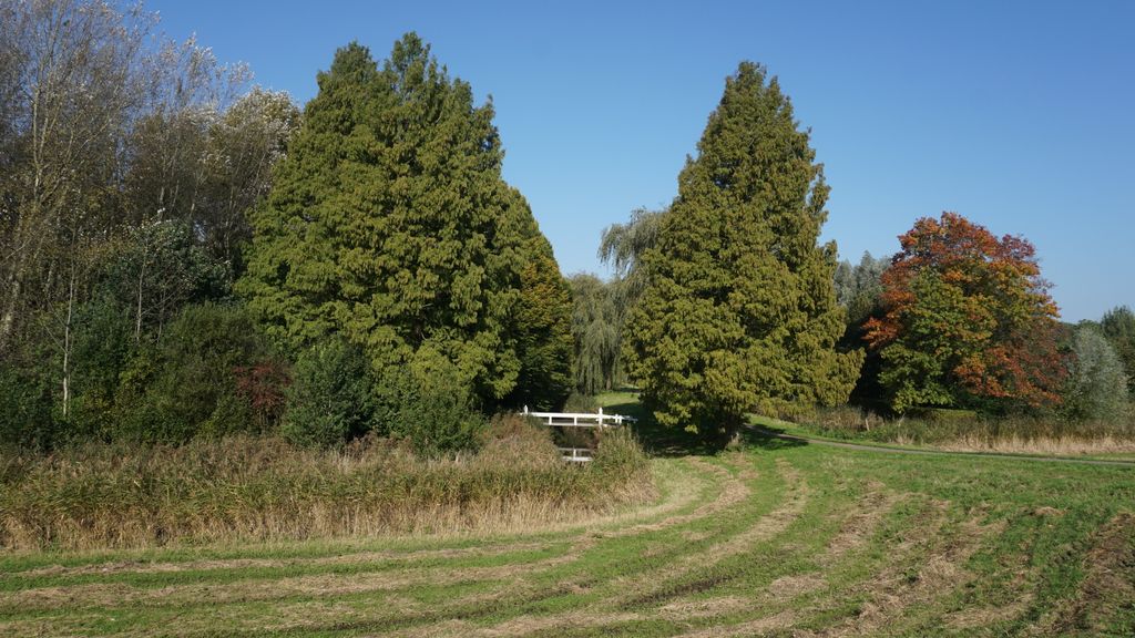 Amsterdamse Bos, a forest nearby Amstelveen