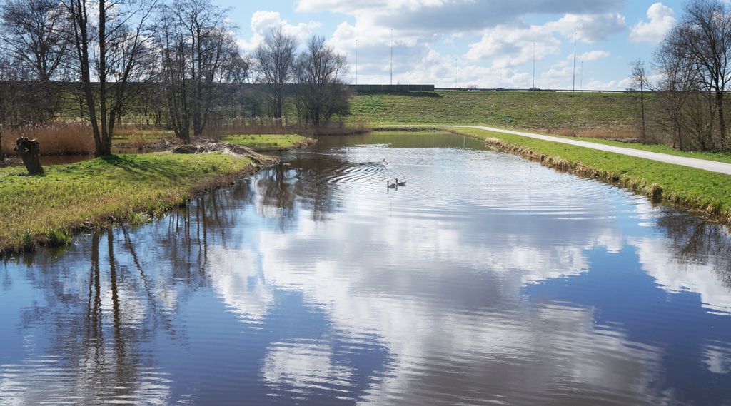 Timid spring in Amstelveen...