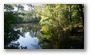 Amsterdamse Bos, a forest nearby Amstelveen