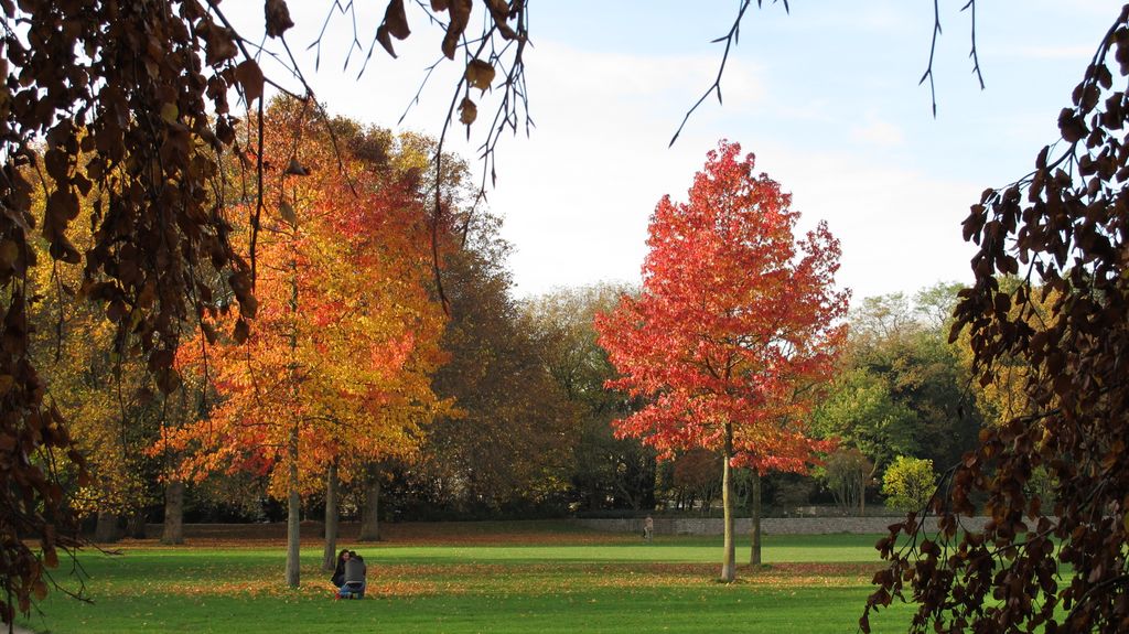 Autumn Colours, 2011 (Amsterdam, Beatrixpark)