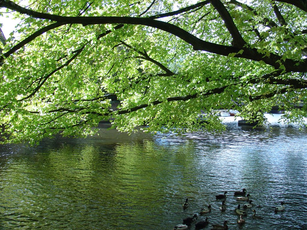 Noorder Amstel Kanaal