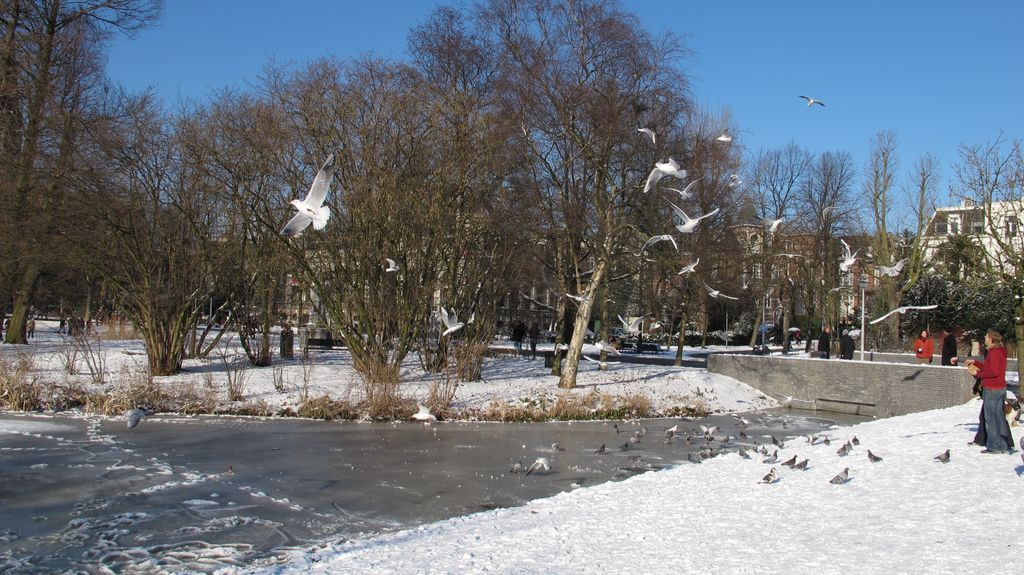 Vondelpark, Amsterdam, on a beautiful winter day