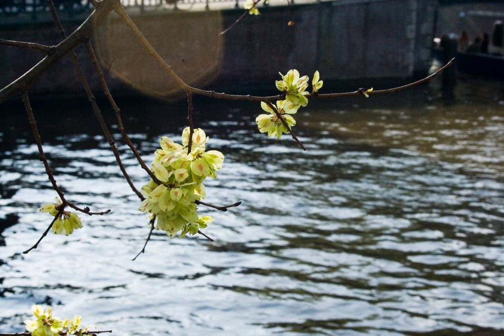 On Prinsengracht (though it could be anywhere...)