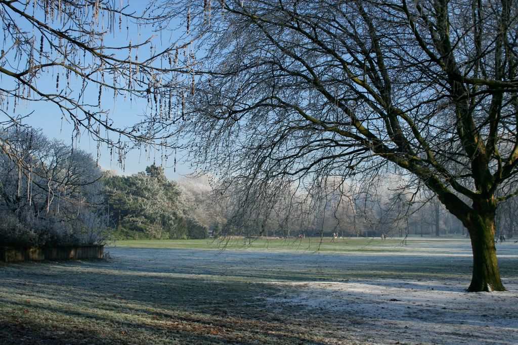 Winter in Beatrixpark, Amsterdam