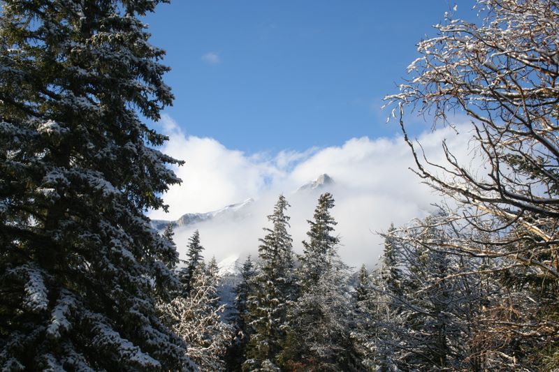 Short visit to Banff, Canada