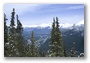 Views from the Sulphur Mountain, Banff