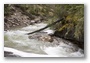 Johnston Canyon, by Banff