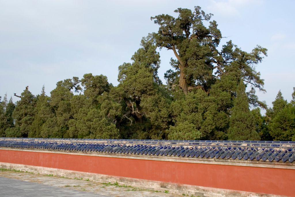 Beijing, Temple of Heaven Park