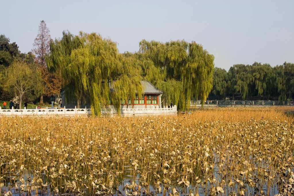 Photo: Beihai Park, Beijing