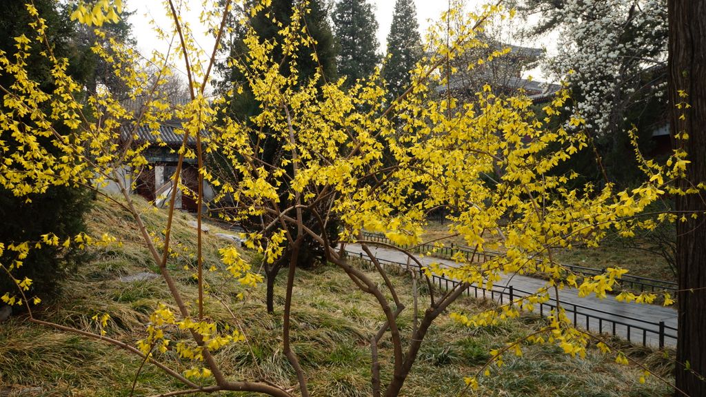 Beihai Park, Beijing