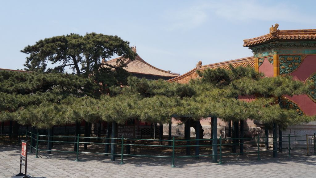 Forbidden City, Beijing