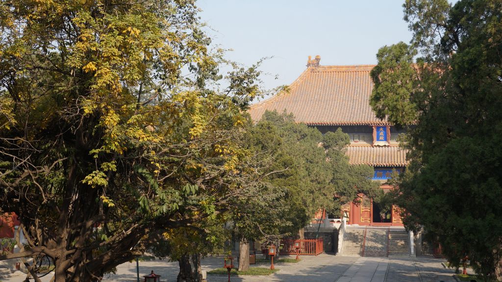 Confucius Temple, Beijing; one of the lesser known places to many, which makes it a peaceful and beautiful place in the big city...