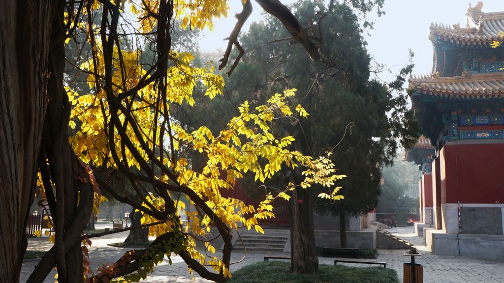 Confucius Temple, Beijing; one of the lesser known places to many, which makes it a peaceful and beautiful place in the big city...