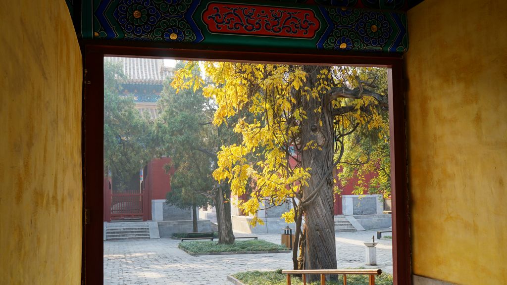 Confucius Temple, Beijing; one of the lesser known places to many, which makes it a peaceful and beautiful place in the big city...