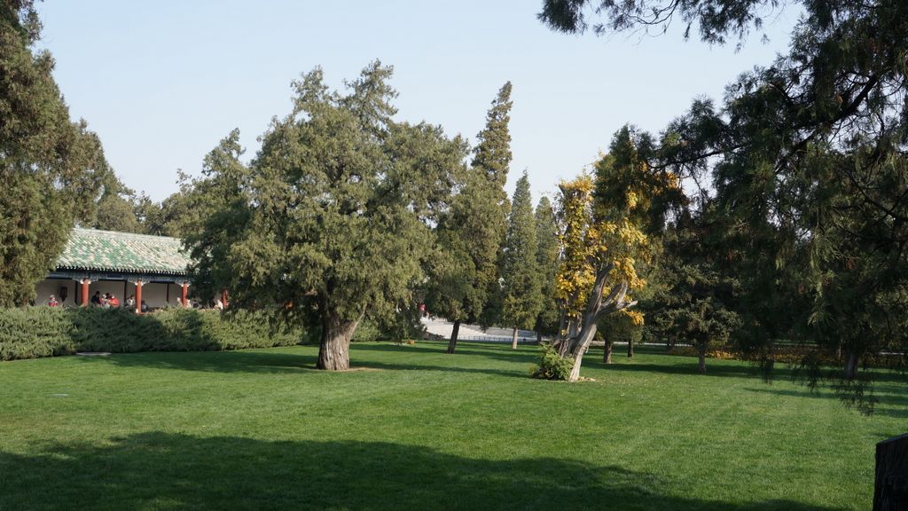 Park of the Temple of Heaven, Beijing; one of the iconic places of the City, extremely popular for people of Beijing...