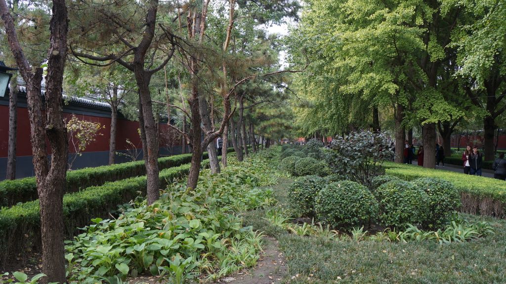 Lama Temple, Beijing