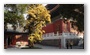 Confucius Temple, Beijing; one of the lesser known places to many, which makes it a peaceful and beautiful place in the big city...