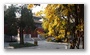 Confucius Temple, Beijing; one of the lesser known places to many, which makes it a peaceful and beautiful place in the big city...