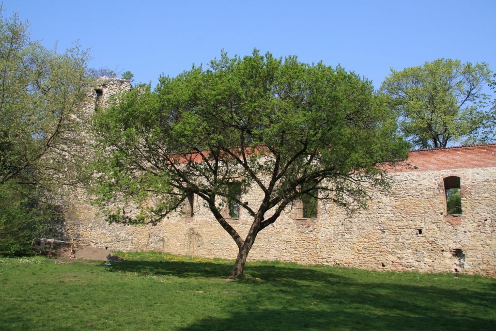 Budapest, Margaret Island, remains of a medieval Benedictine monastery