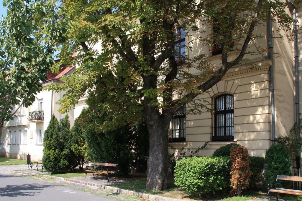 Budapest, Tóth Árpád Sétány, on the Castle Hill