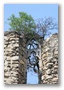 Budapest, Margaret Island, remains of a medieval Benedictine monastery