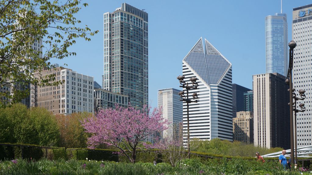 Michigan Avenue Skyline from the Lurie Garden, Millenium Park, Chicago Loop